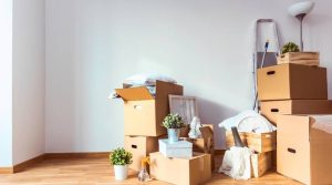 Features You Should See When Choosing Packers and Movers